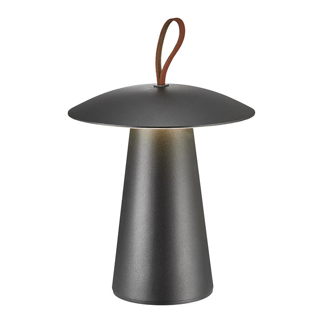 Candeeiro de Mesa Exterior com LED Integrado Ara