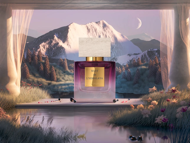 Nuit de l’Himalaya