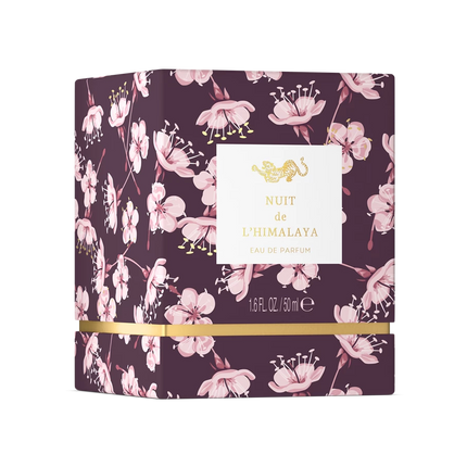 Nuit de l’Himalaya