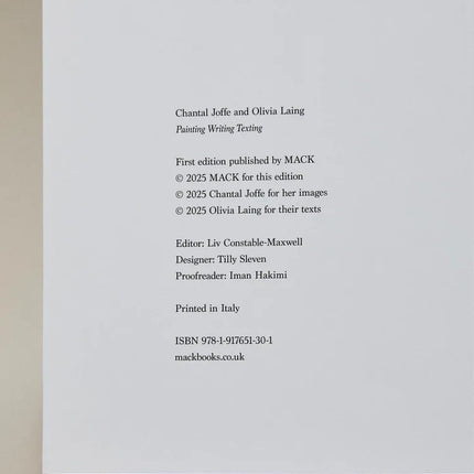 LIVRO PAINTING, WRITING, TEXTING (INGLÊS)